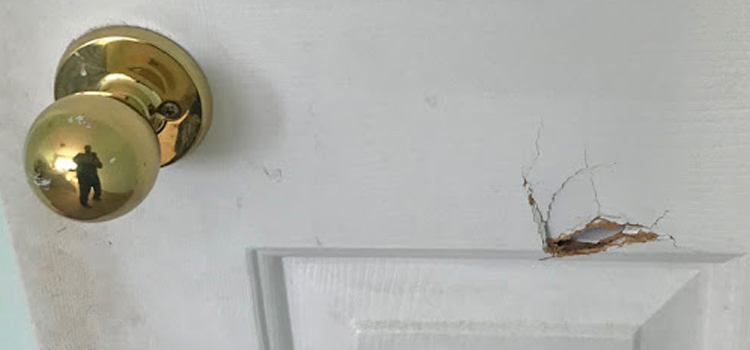interior door hole repair Alondra Park