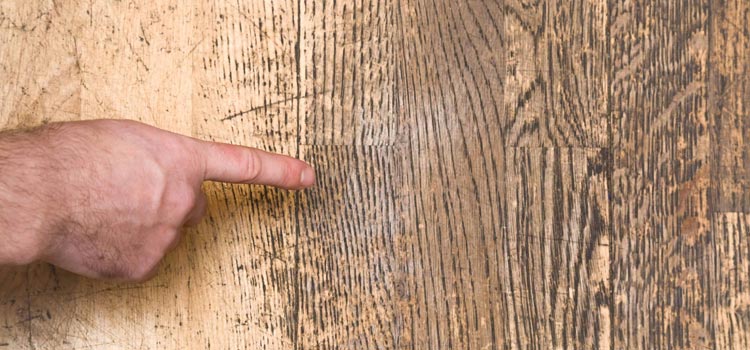 Wood Door Scratch Repair in Alondra Park
